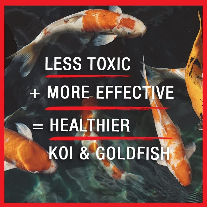 Microbe Lift MICROBE-LIFT Broad Spectrum Disease Treatment for Ponds - 32 Fl Oz, Safe for Koi Fish and Goldfish - Image 5